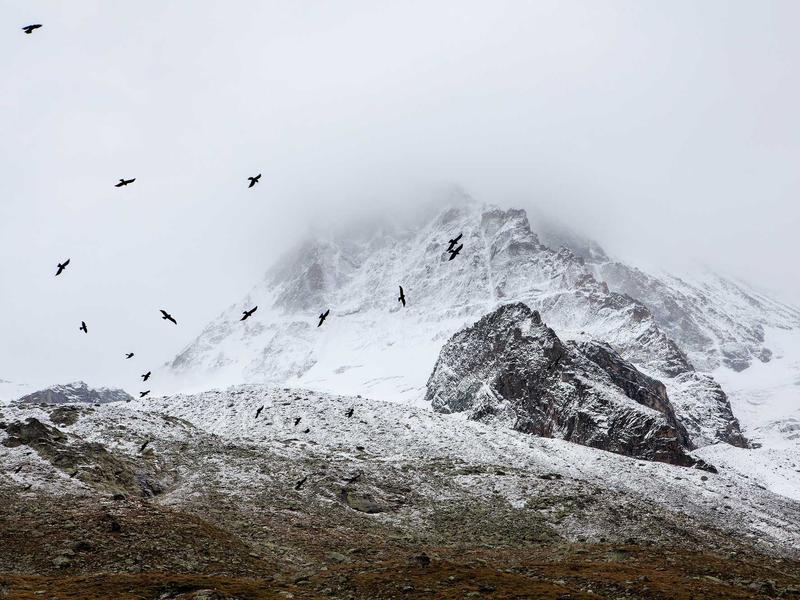 sudoku accessibility options screenshot 4